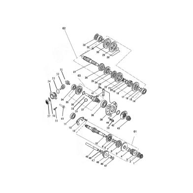 N°62 - Arbre secondaire