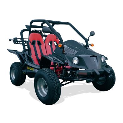 Buggy STREET 250 - KINROAD - Noir