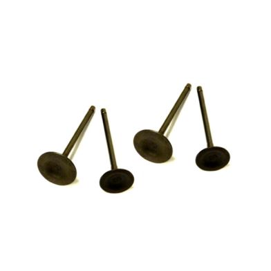 Soupapes - 22/19mm - YX 4S